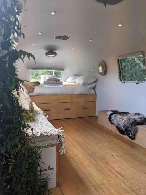 Airstream, Vintage American Caravan & Hottub 에쉬버튼 외부 사진